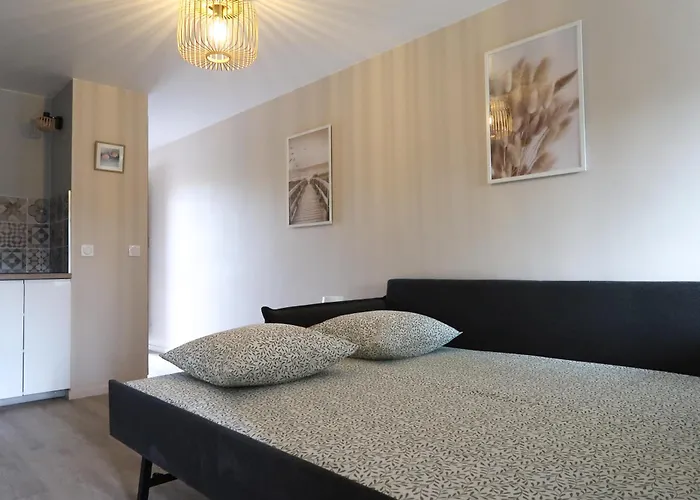 Apartamento Magnifique Le Flamant Dore Avec Loggia, Terrasse & Climatisation, Proche *