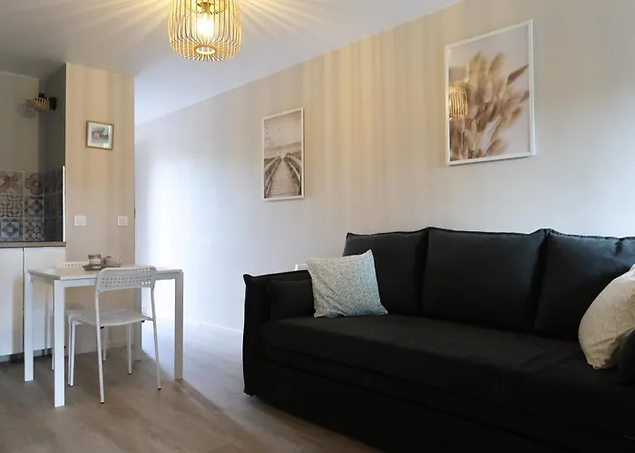 Magnifique Le Flamant Dore Avec Loggia, Terrasse & Climatisation, Proche * Aigues-Mortes