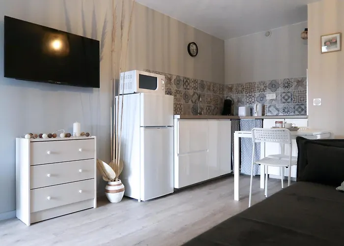 Magnifique Le Flamant Dore Avec Loggia, Terrasse & Climatisation, Proche * Aigues-Mortes