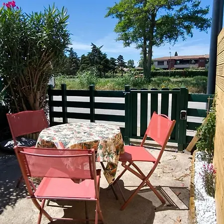 Magnifique Le Flamant Dore Avec Loggia, Terrasse & Climatisation, Proche 아파트